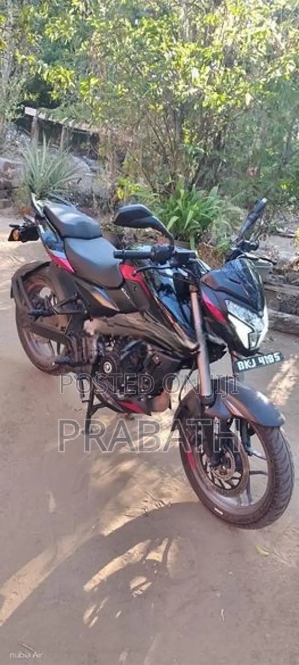 Bajaj Pulsar NS200 2025