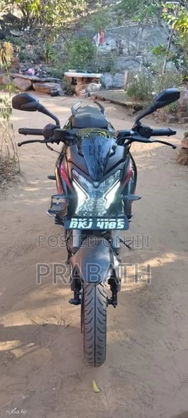 Bajaj Pulsar NS200 2025