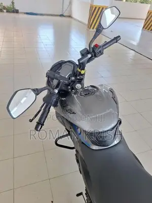 Bajaj Pulsar NS200 2025