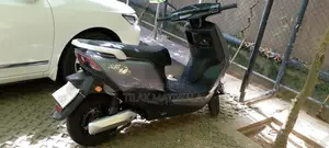 Alfa Luyuan 2025