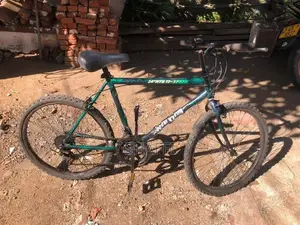 Mountain Bicycle