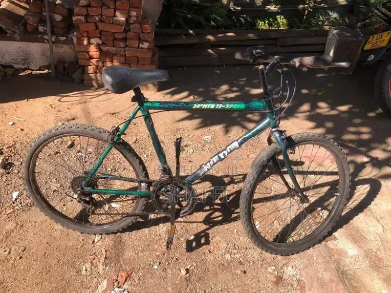 Mountain Bicycle