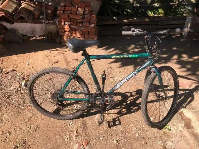 Mountain Bicycle