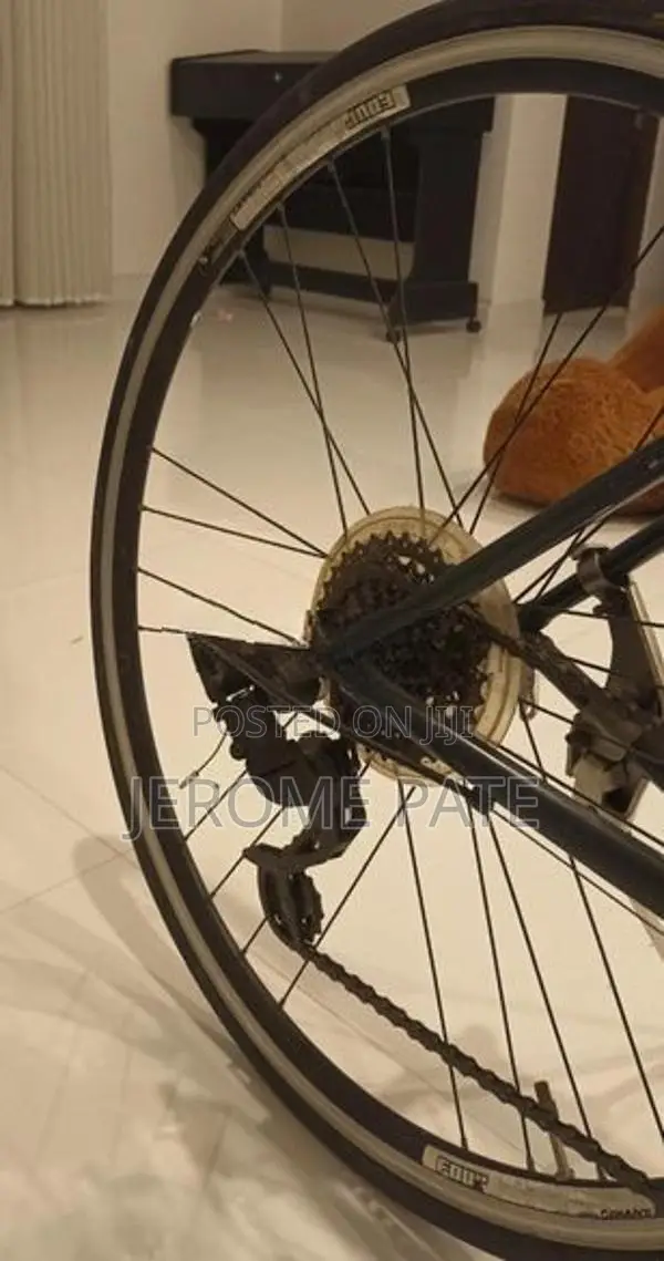 Giant Bicycle