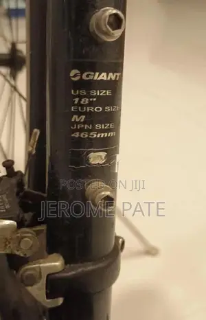 Giant Bicycle