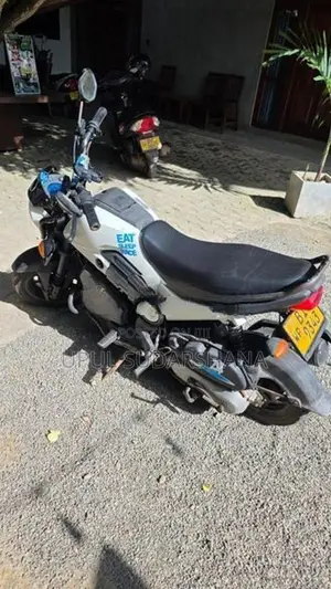 Honda Navi 2018
