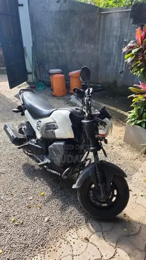 Honda Navi 2018