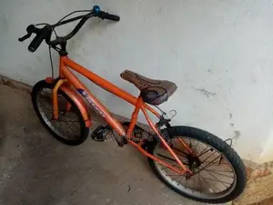 DSI Bicycle 16" ( Used )
