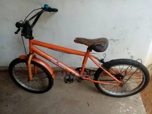 DSI Bicycle 16" ( Used )