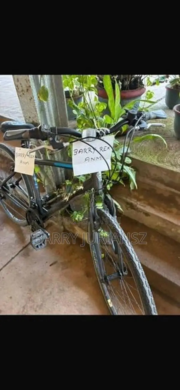 English Bicycle - Dawes Imported