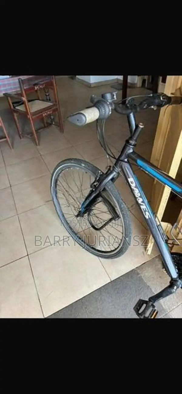 English Bicycle - Dawes Imported