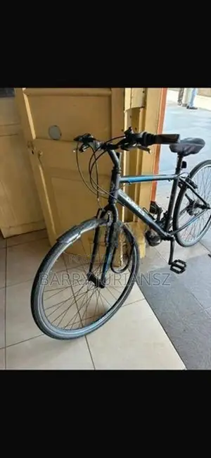 English Bicycle - Dawes Imported