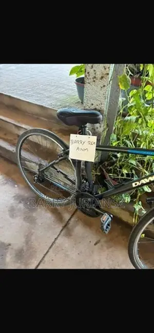 English Bicycle - Dawes Imported