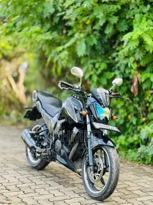 Yamaha FZ 2013