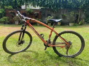 Kenstar Bicycle (King Star)