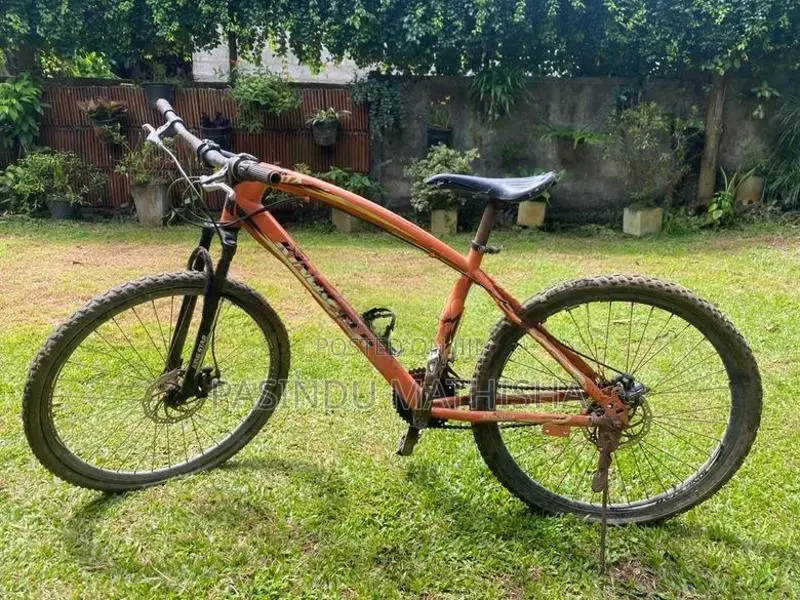 Kenstar Bicycle (King Star)