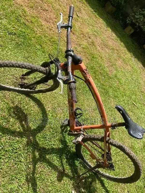 Kenstar Bicycle (King Star)
