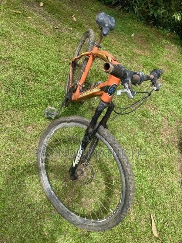 Kenstar Bicycle (King Star)