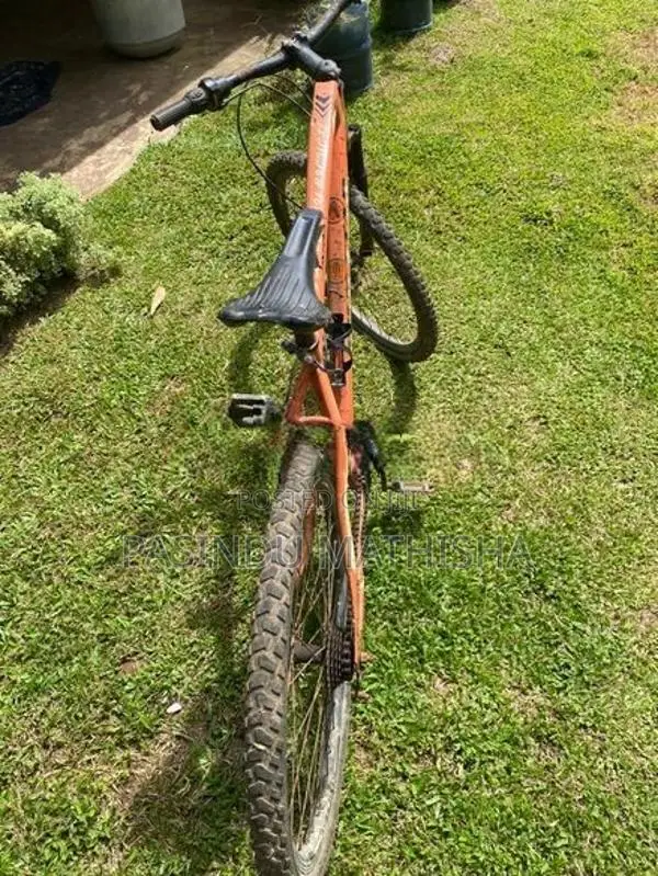 Kenstar Bicycle (King Star)