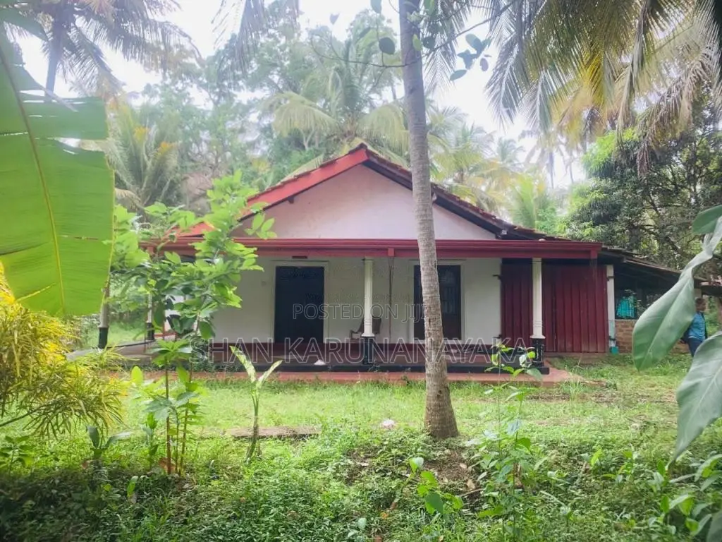 Land for Other