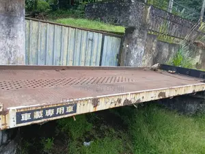 IsuzuCarriyarBad for Lorry