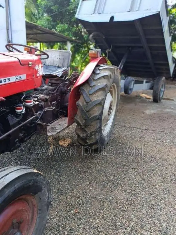 Massey-Ferguson 135 1991 Tractor (Used)