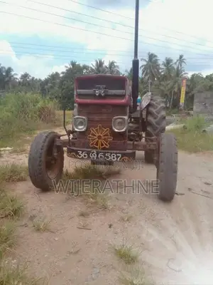 Massey-Ferguson DL 135 1980 Tractor (Used)