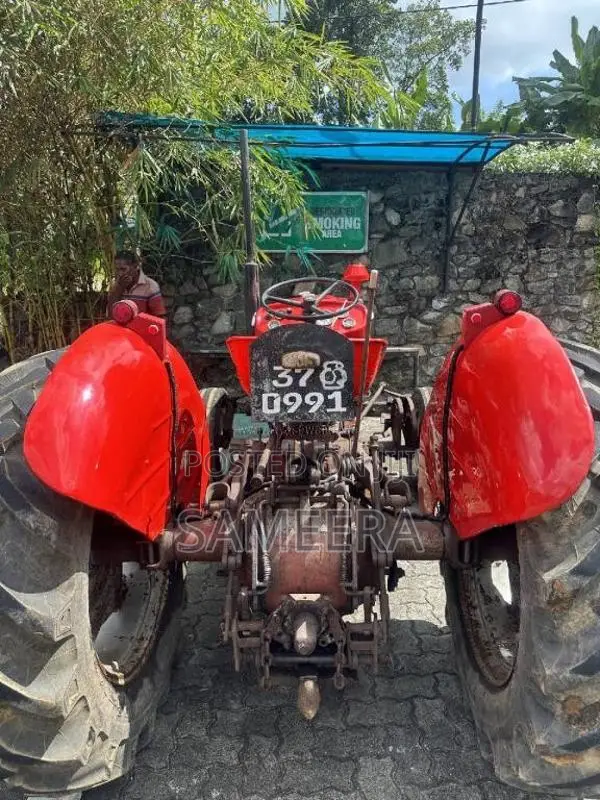 Massey-Ferguson 135DL 1980 Tractor (Used)