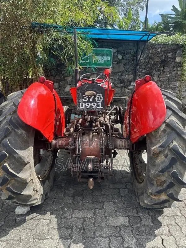 Massey-Ferguson 135DL 1980 Tractor (Used)