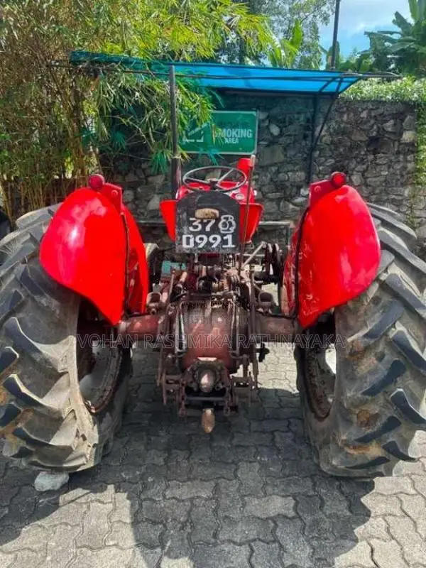Massey-Ferguson 135 2026 Tractor (Used)
