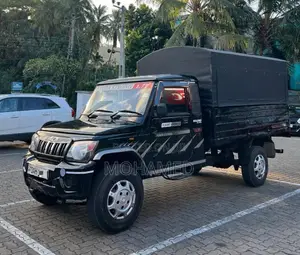 Mahindra Big Bolero 2019 Pickup (Used)