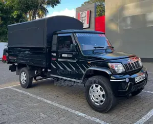 Mahindra Big Bolero 2019 Pickup (Used)