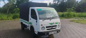 Tata Dimo Batta ACE 2006 Lorry (Used)