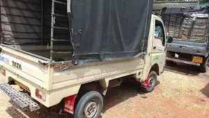 Tata Dimo Batta 2010 Lorry (Used)