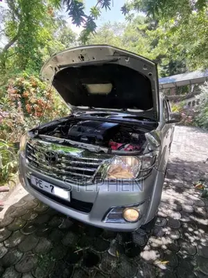 Toyota Hilux 2006 Pickup (Used)