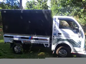 Tata Dimo Batta 2009 Lorry (Used)
