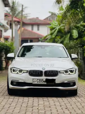 BMW 318i Luxury Line 2017 Car (Used)