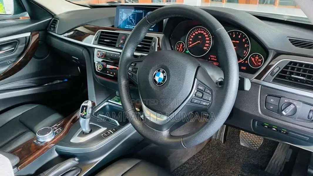 BMW 318i Luxury Line 2017 Car (Used)