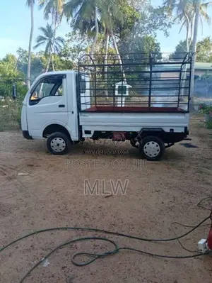 Tata Dimo Batta 2010 Lorry (Used)
