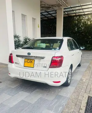 Toyota Axio 2015 Car (Used)