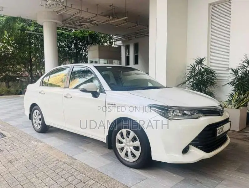Toyota Axio 2015 Car (Used)