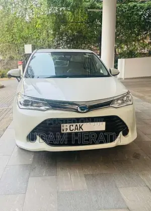 Toyota Axio 2015 Car (Used)