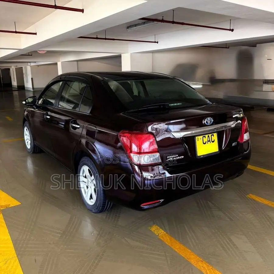 Toyota Axio 2014 Car (Used)