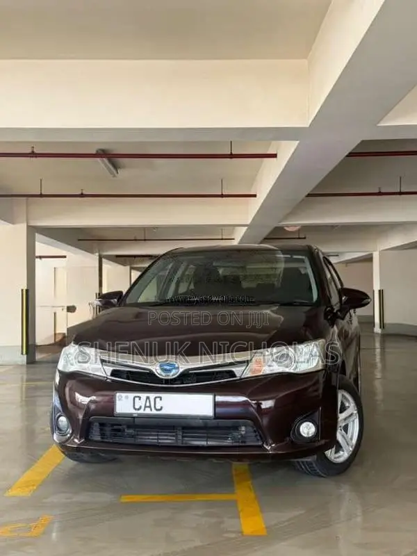 Toyota Axio 2014 Car (Used)