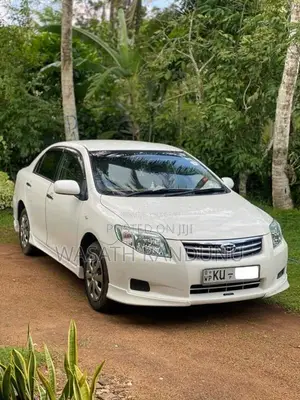 Toyota Axio 2010 Car (Used)