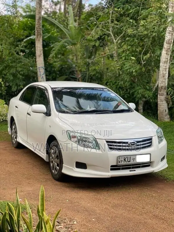 Toyota Axio 2010 Car (Used)