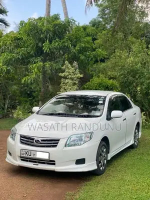 Toyota Axio 2010 Car (Used)