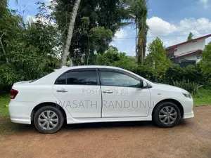 Toyota Axio 2010 Car (Used)