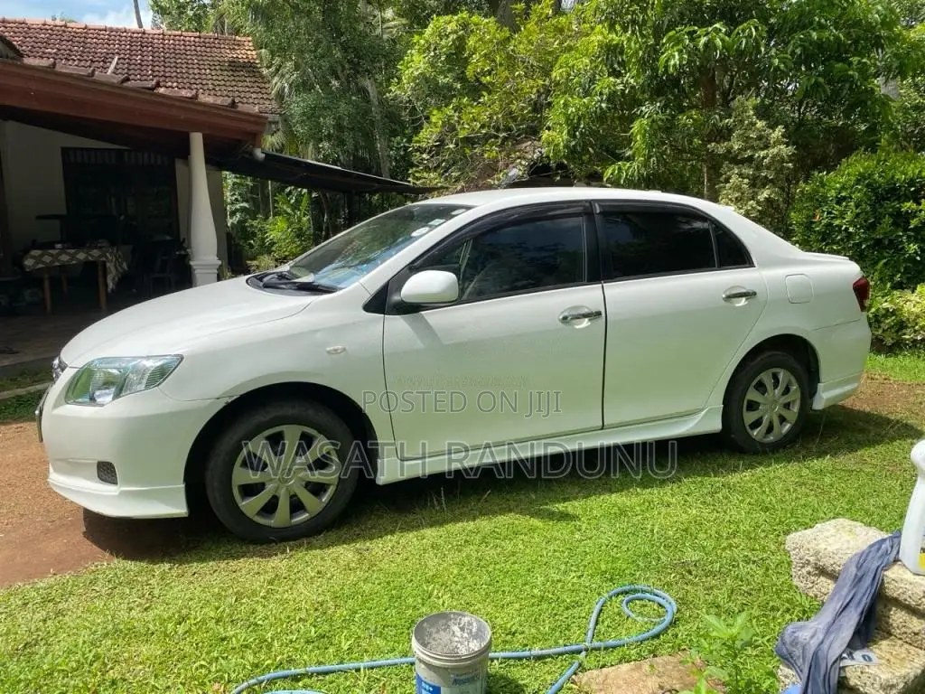 Toyota Axio 2010 Car (Used)