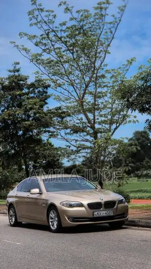 BMW 520d 2013 Car (Used)